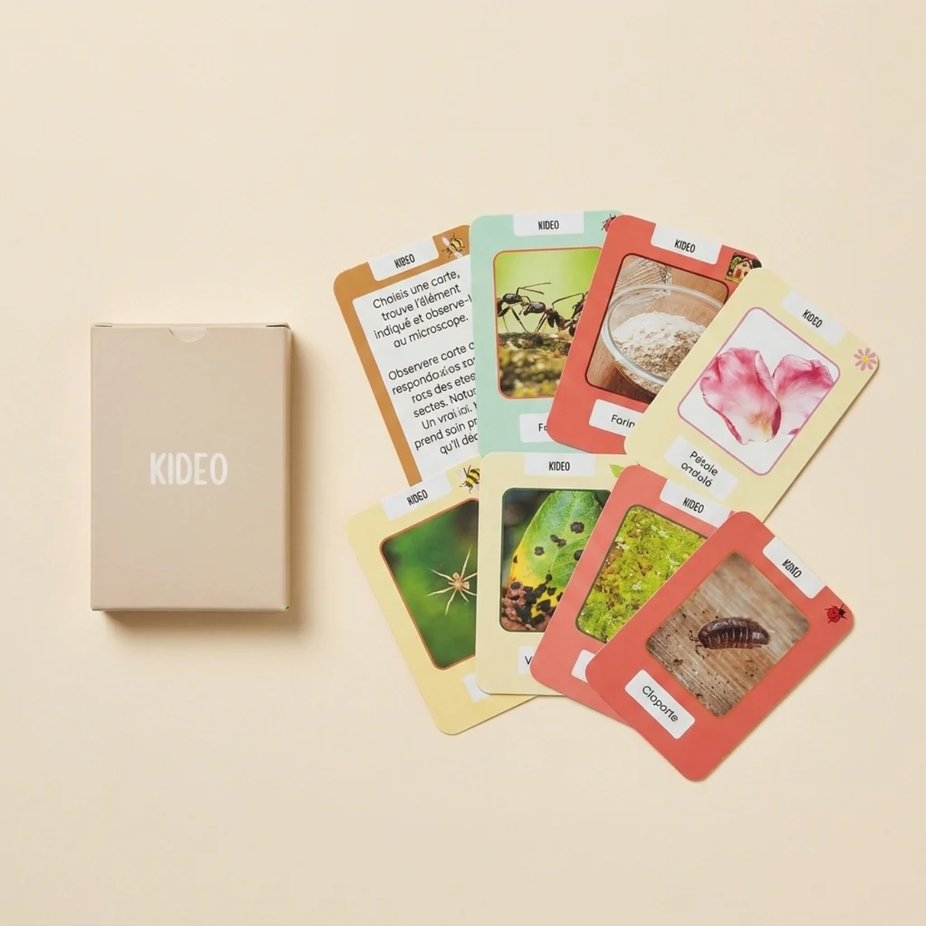 Jeu de cartes du Mini-Scientifique